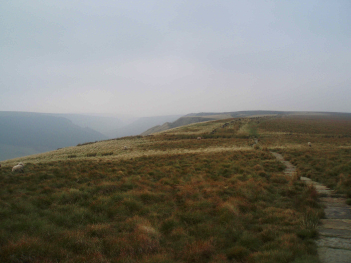Rowlee Pasture Rowlee Pasture